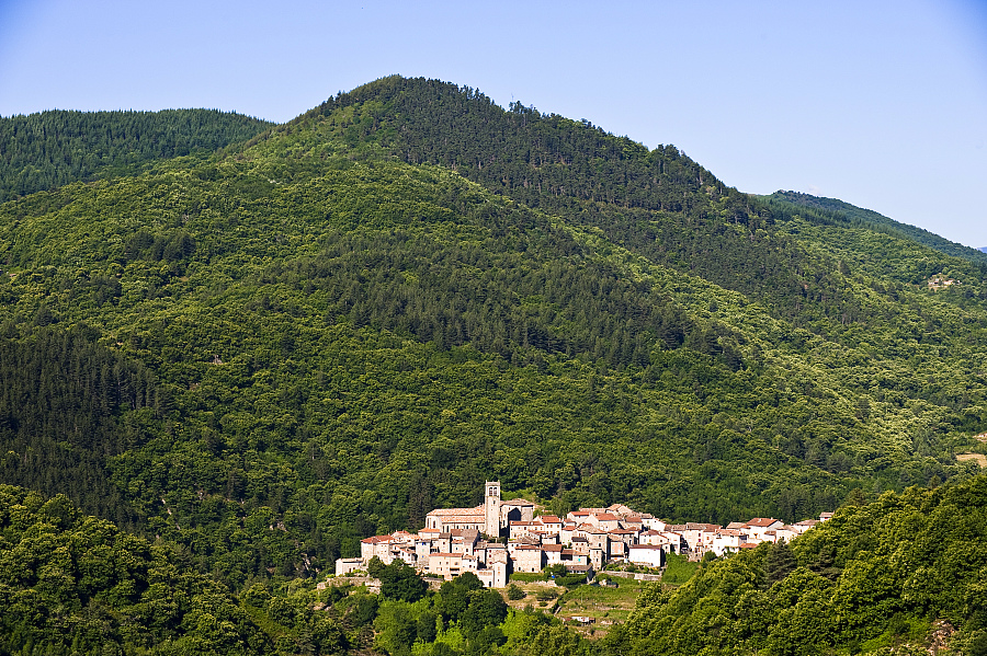 GR de Pays Haute Cévenne d'Ardèche