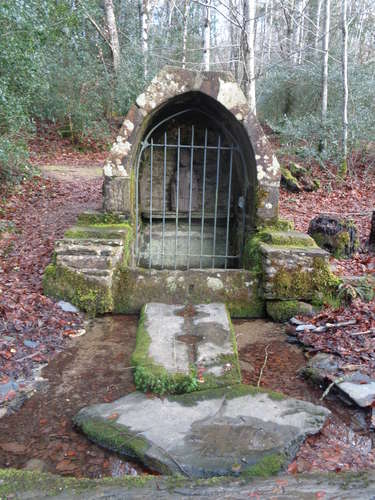 La forêt du Cranou