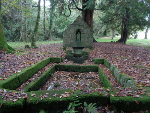 Le bois de Saint-Gildas