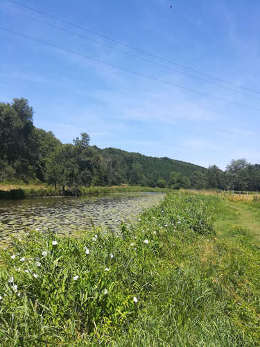 Vallée du Hâvre