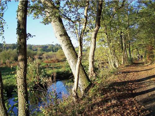 Le circuit des Dames