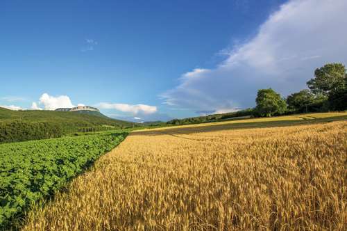 Courbière ou Tour de la Montagne