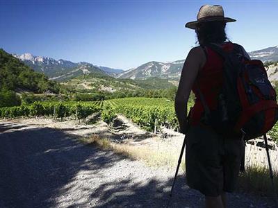 Comment bien gérer la canicule ? Comment bien gérer la canicule ?