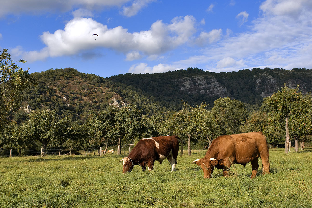 GR<sup>®</sup> de Pays Tour de la Suisse Normande