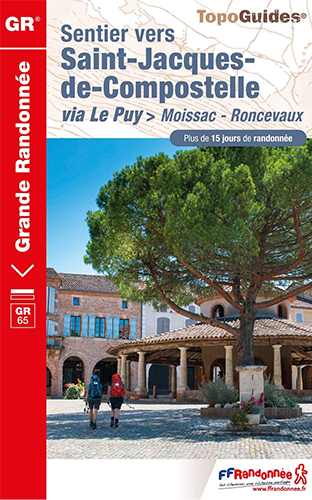 Topoguide Saint Jacques de Compostelle de Moissac a Roncevaux