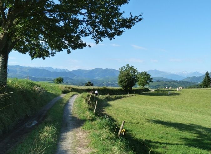 GR®101 : Un nouveau chemin vers Lourdes s’ouvre aux randonneurs ! 