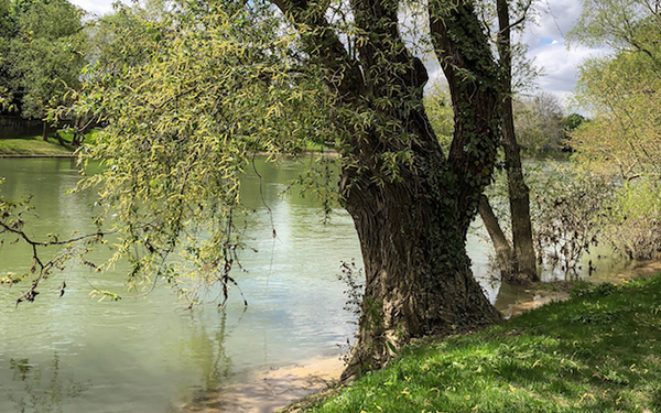 La Marne - © Jean Fabien Leclanche pour Enlarge your Paris