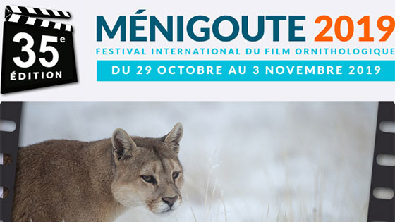 Festival international du film ornithologique de Ménigoute 2019