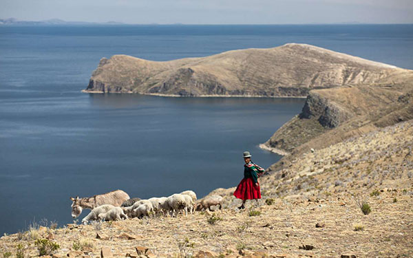 Bolivie - Le trek des trois cordillères - Tirawa