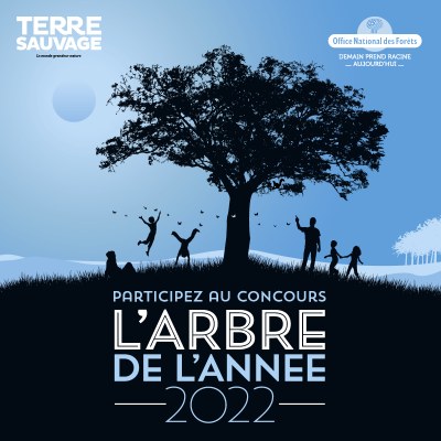 Concours-arbre-de-l'année-2022