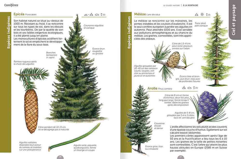 Guide Nature à la Montagne, éditions Salamande, Mongr