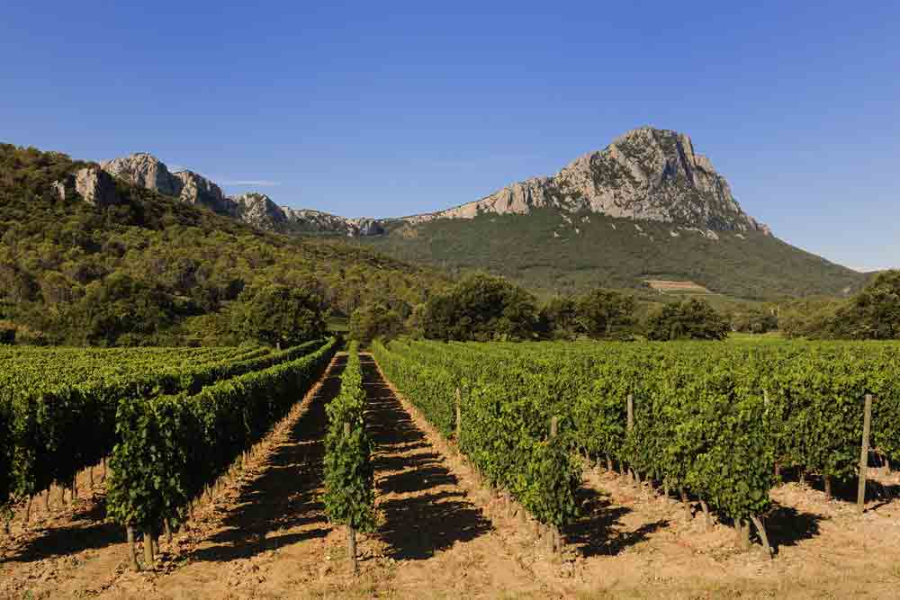 Vignobles au pied du Pic Saint-Loup - Crédit :  RIEGER Bertrand / hemis.fr - MonGR