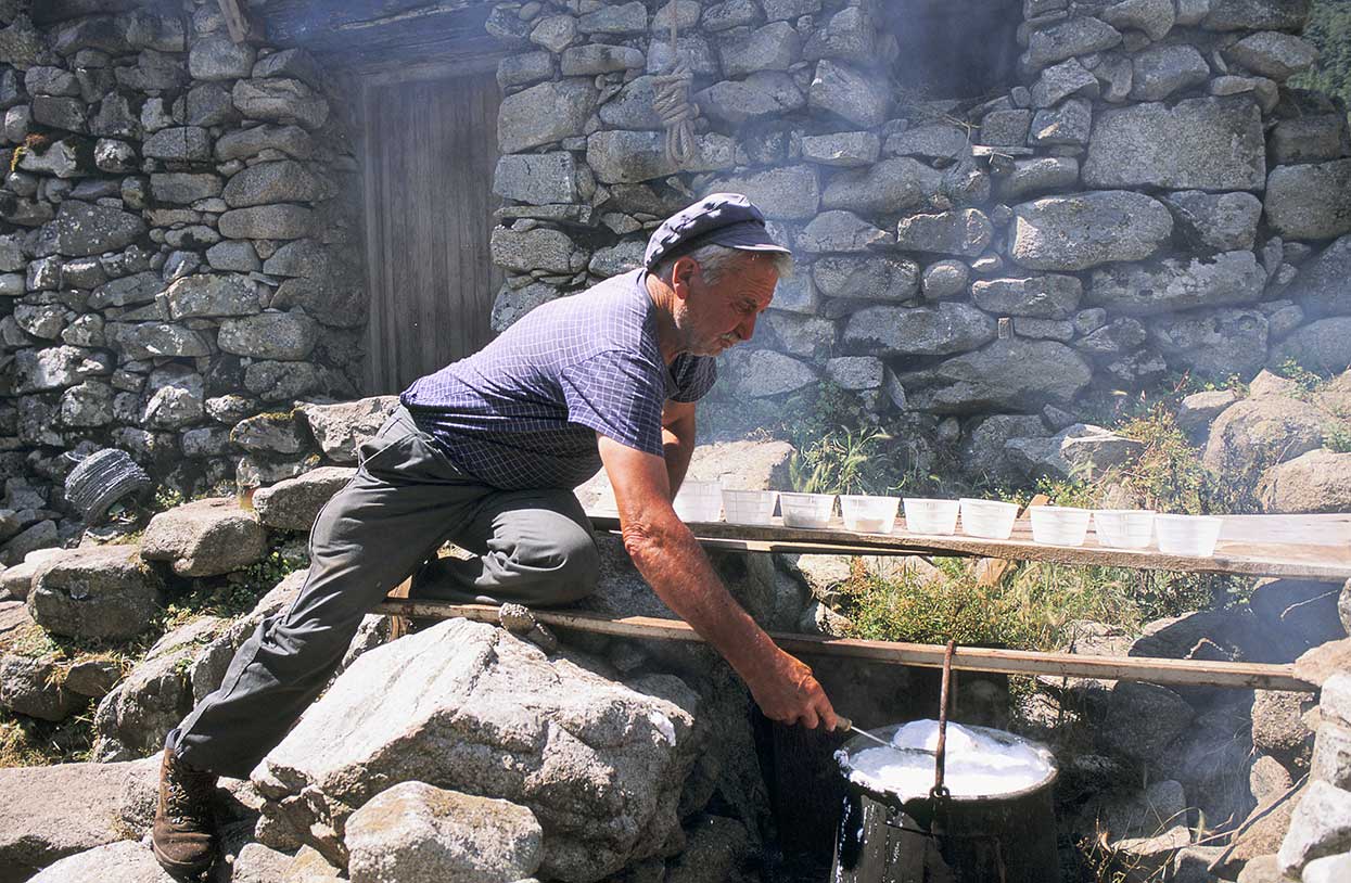 MonGR - GR20 : le Brocciu, fromage fait à partir de lait de chèvre ou de lait de brebis - Crédit : BOISVIEUX Christophe - Hemis.fr