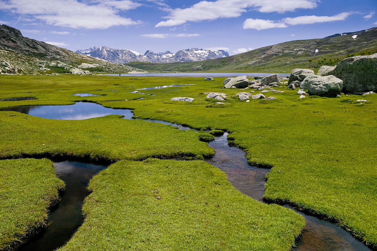 MonGR - GR20 : le lac de Nino (1760m) et ses pozzines - Crédit photo : MONTICO Lionel -Hemis.fr