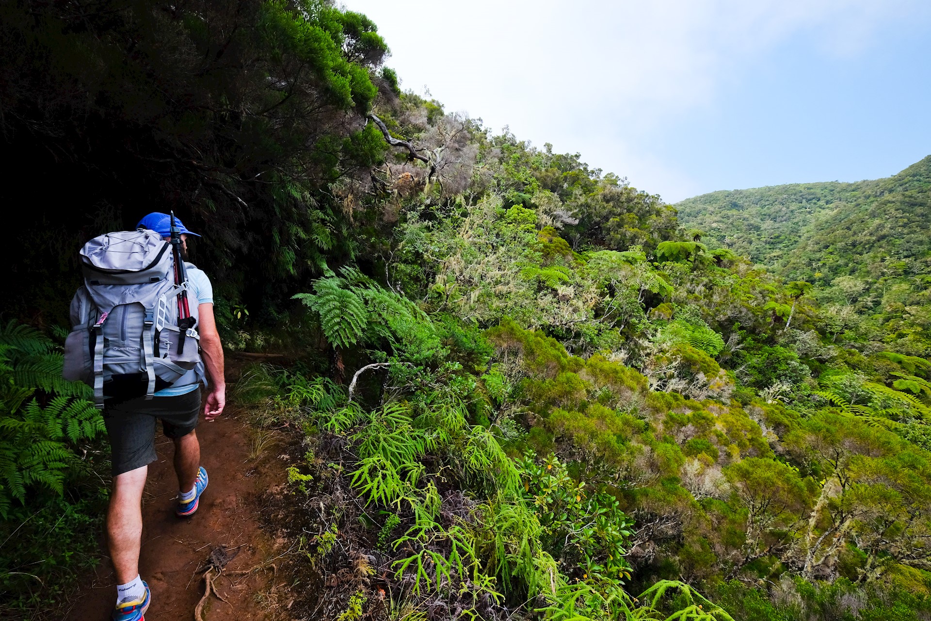 GR R2, Réunion, dans la forêt de la Roche Écrite crédit photo : Johannes Braun