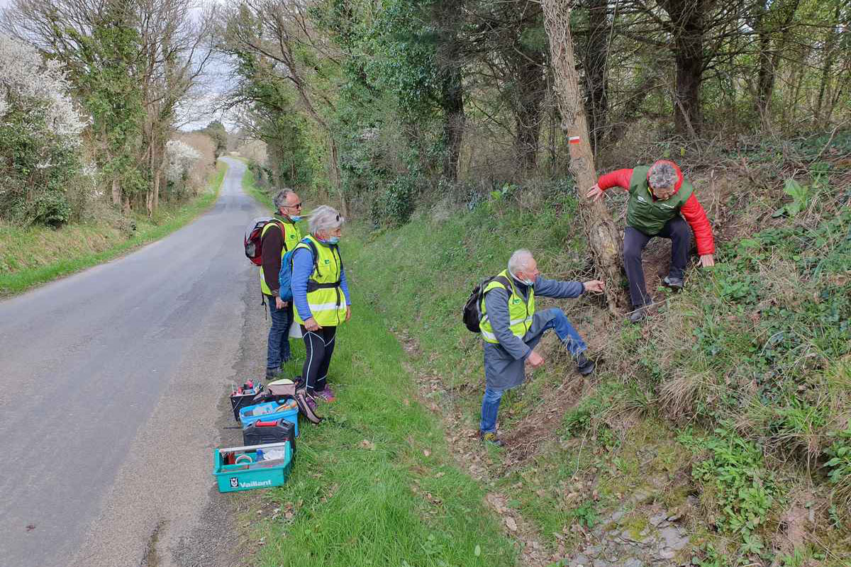 Travail de redynamisation du GR® 364 en Vendée