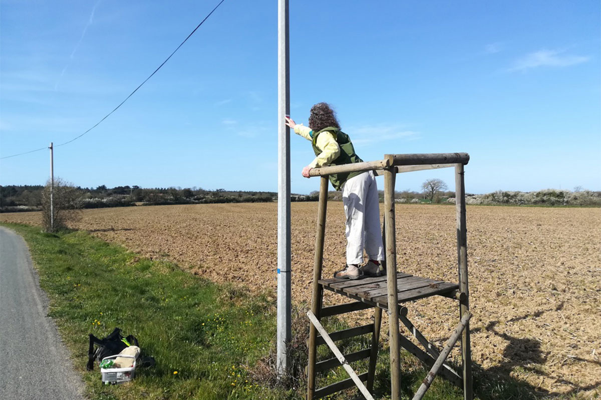 Travail de redynamisation du GR® 364 en Vendée