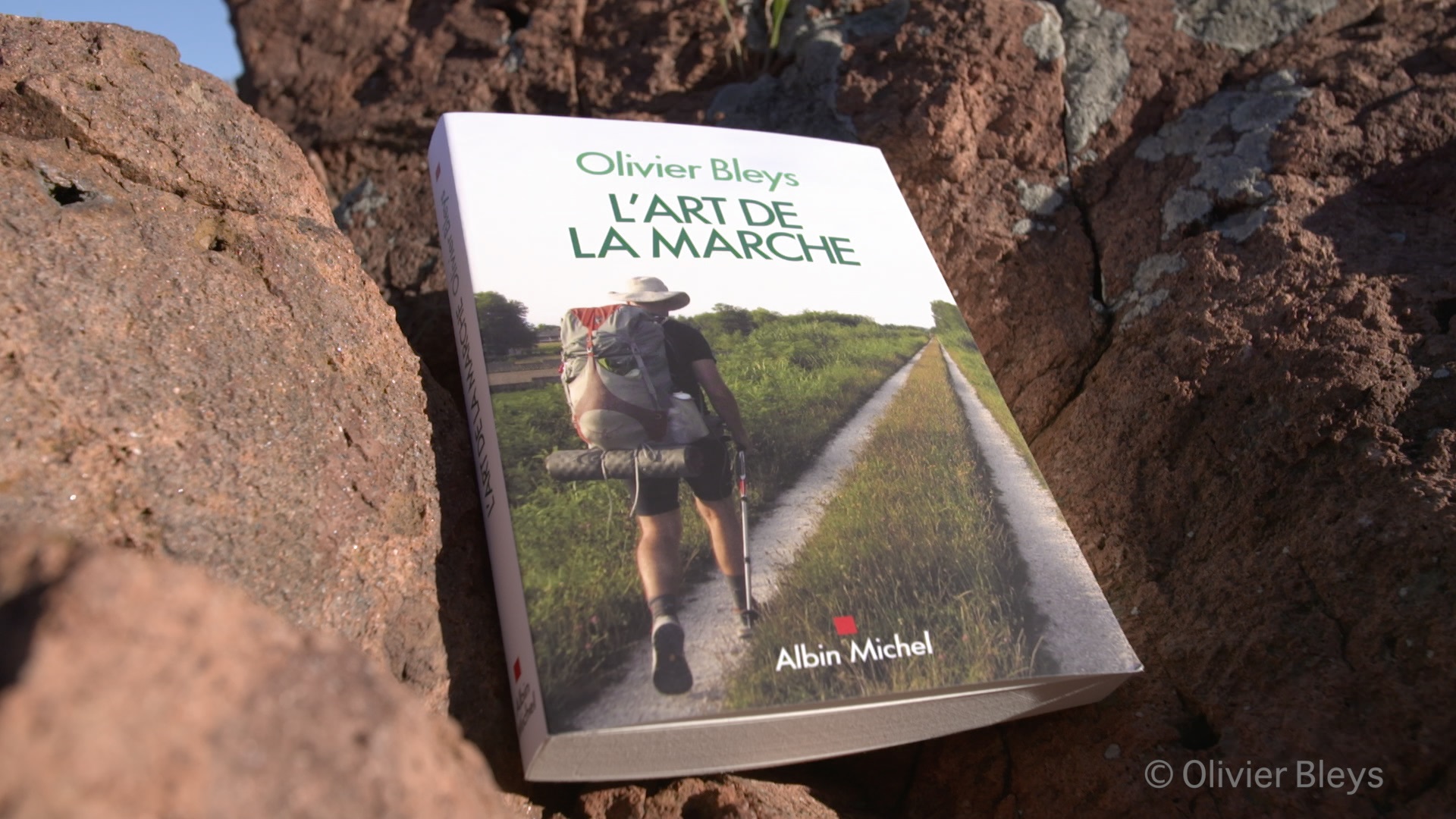 1ère de couverture, "L'art de la marche" d'Olivier Bleys.