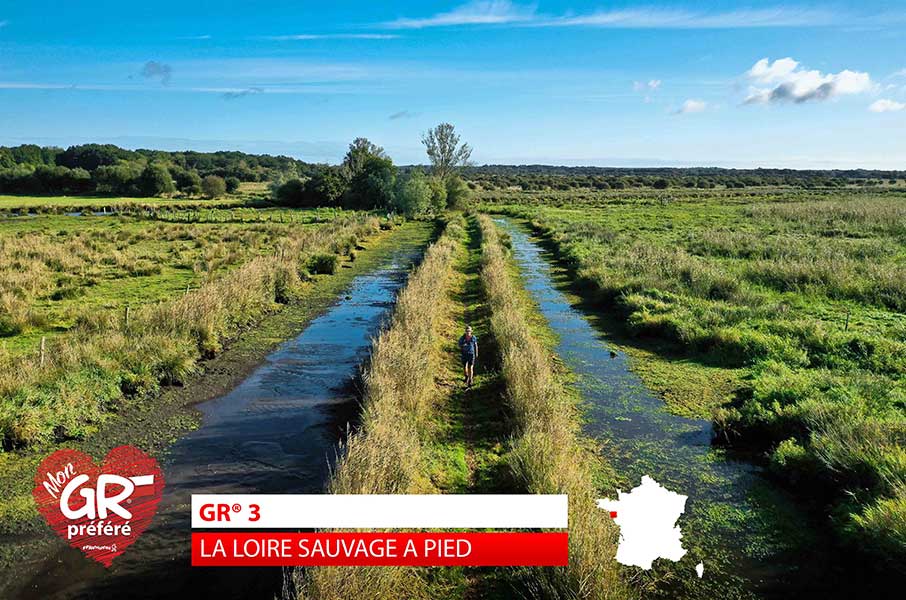 GR® 3 - La Loire sauvage à pied (Loire-Atlantique)