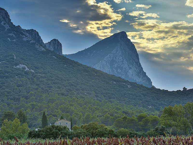 question 5 - randonnée sur le GR® de Pays Grand Pic Saint-Loup. Crédit : / HEMIS