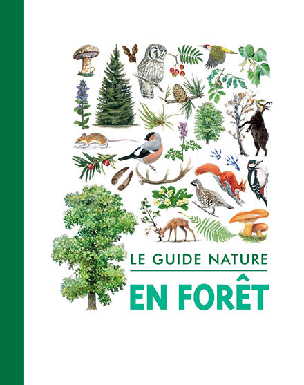 Le guide nature en forêt. Édition Salamandre