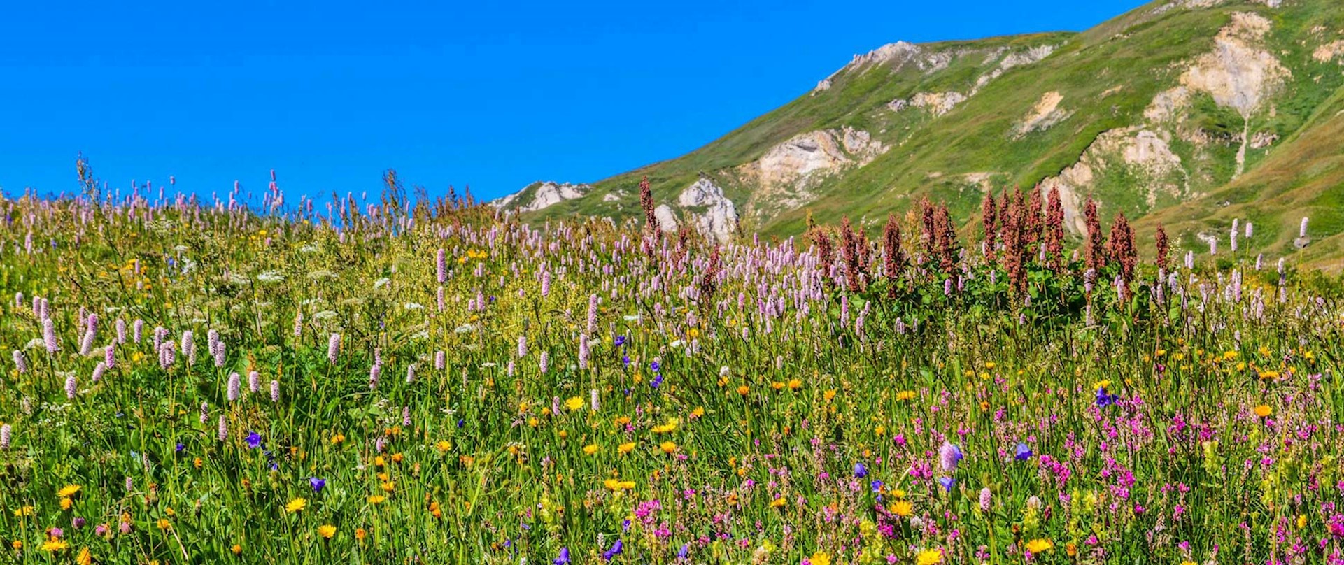 Alpage de la Perrière. © Sylvain BAZIN