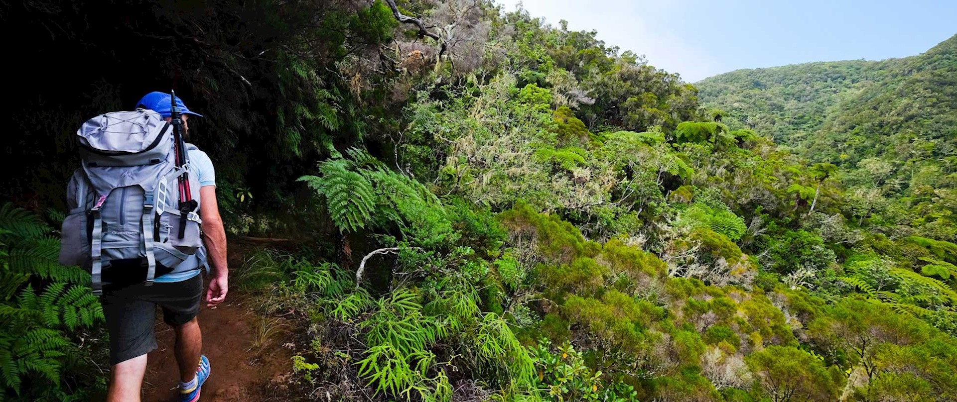 Dans la forêt de la Roche Écrite. © Johannes BRAUN / HEMIS