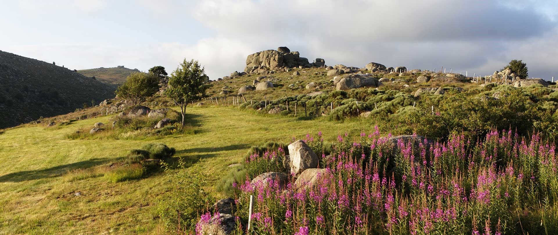 Massif de la Vanoise avec vue sur la grande motte. © Pierre JACQUES / HEMIS