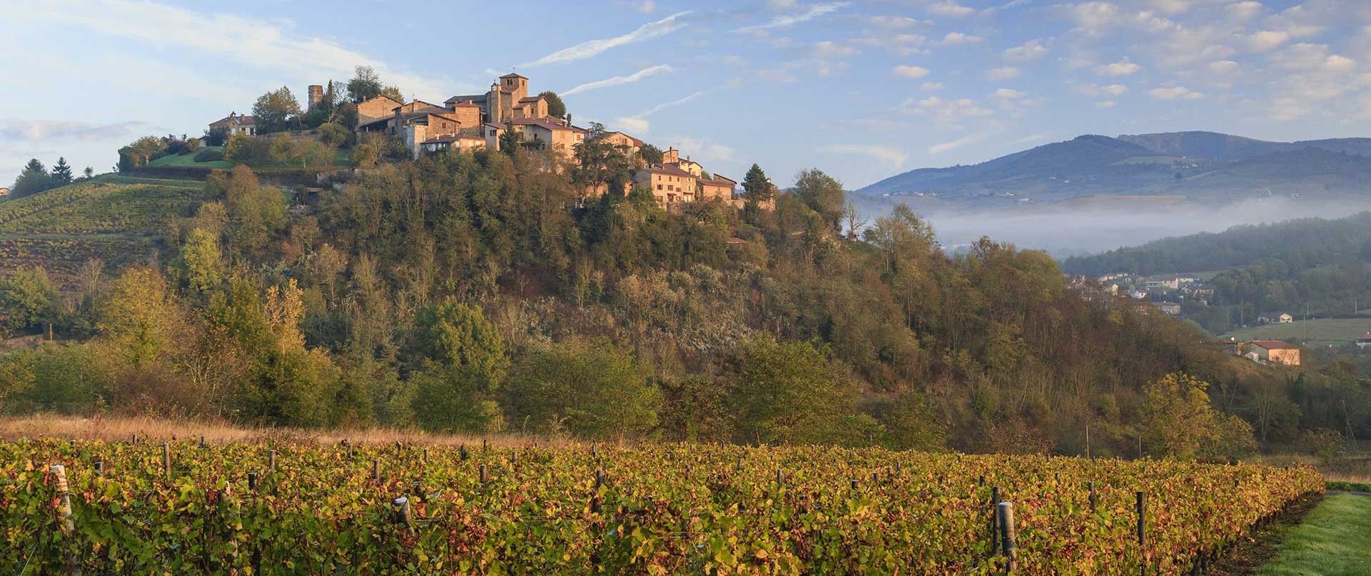 Ternand, le village et le vignoble en automne © Hervé Lenain / HEMIS