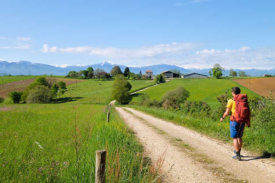 Jour 3 : en marche vers les Pyrénées au-dessus de Castillon de Saint Martory. © Johannes BRAUN