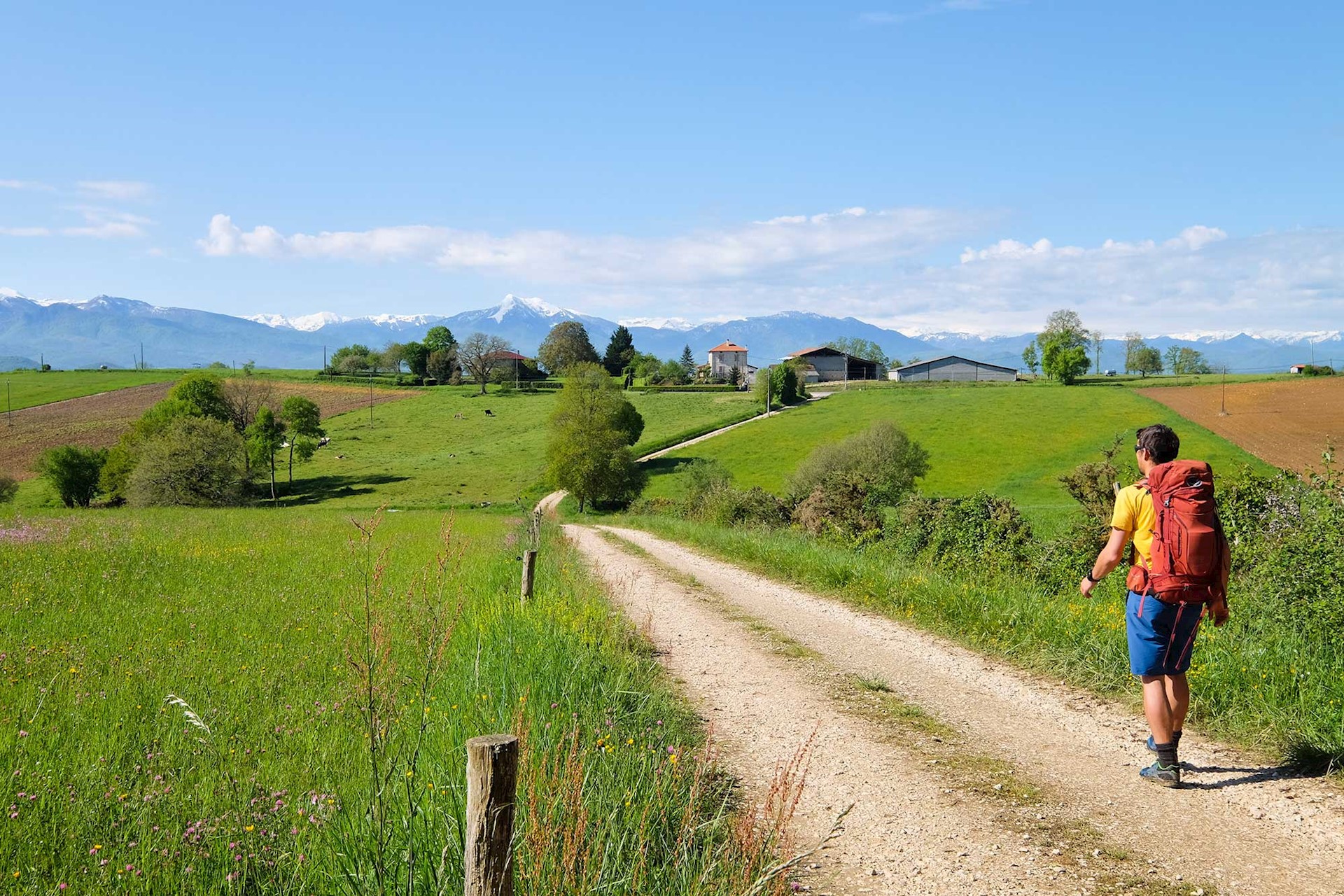 En marche vers les Pyrénées au-dessus de Castillon de Saint Martory. © Johannes BRAUN