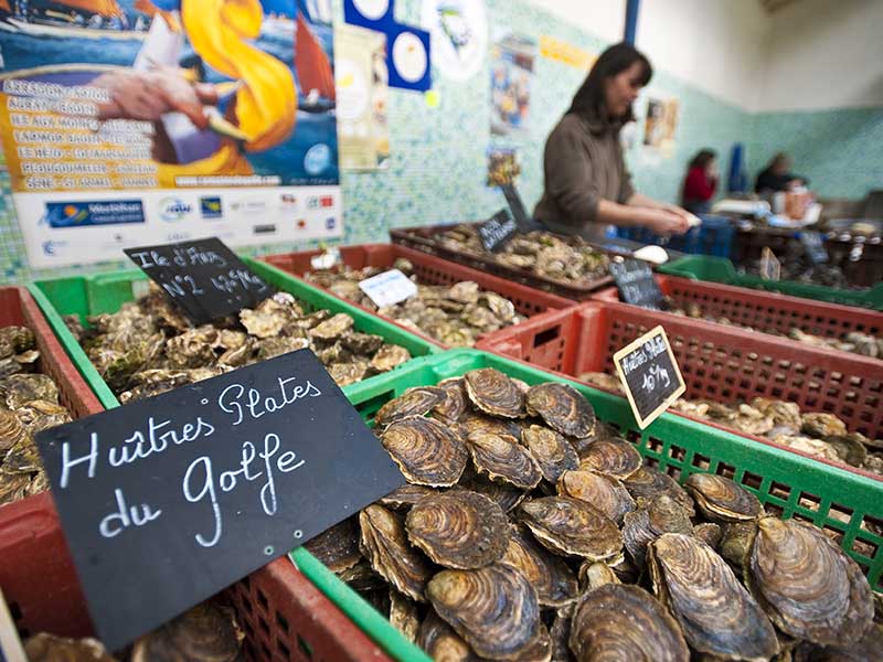Golfe du Morbihan, Vannes, marché de Vannes, la halle aux poissons, huîtres plates © Emmanuel Berthier / HEMIS