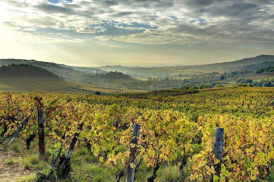 France, Saône-et-Loire (71), région du Beaujolais, Chasselas, le vignoble en automne et le village. Crédit : LENAIN Hervé / hemis.fr