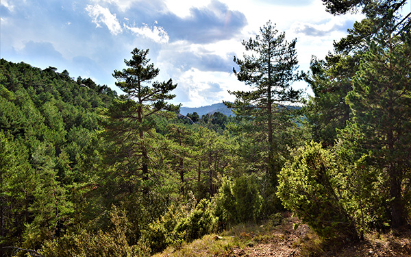 Catalogne - Randonnée sur le GR® 7 - Massif du Port  © Sylvain Bazin