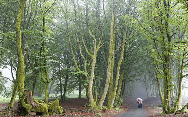 GR® de Pays tour du Morvan - Randonnée en Bourgogne par une boucle depuis le Mont Beuvray. © Christian GUY / HEMIS