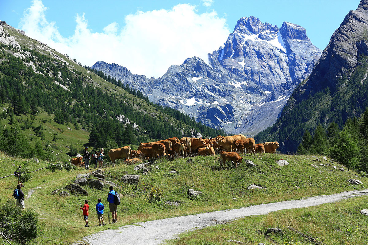 Parc naturel régional du Queyras, Ristolas, randonnée vers le Belvédère du Viso © Camille Moirenc / HEMIS