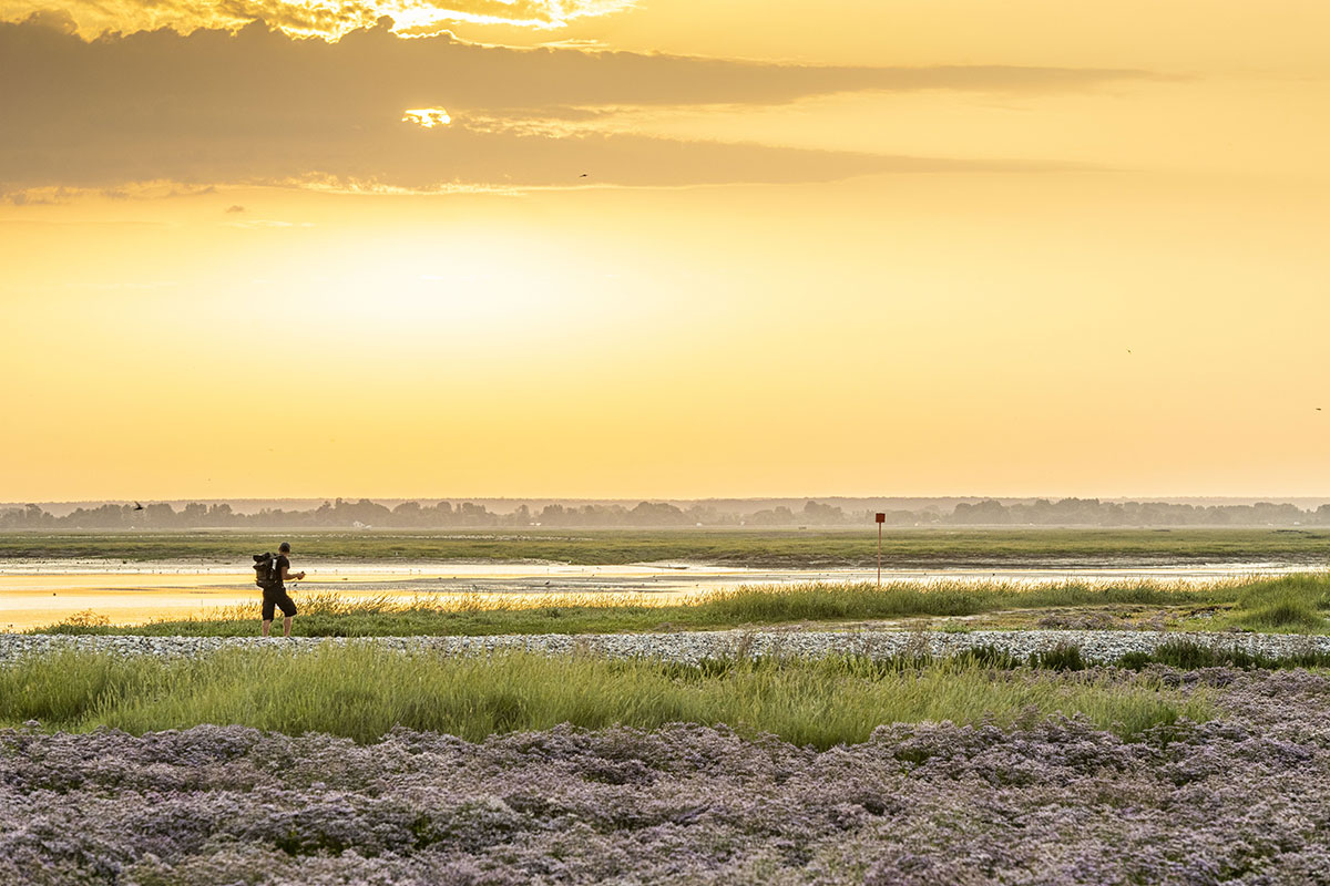 Randonnée en Baie de Somme © Stéphane Bouilland / HEMIS