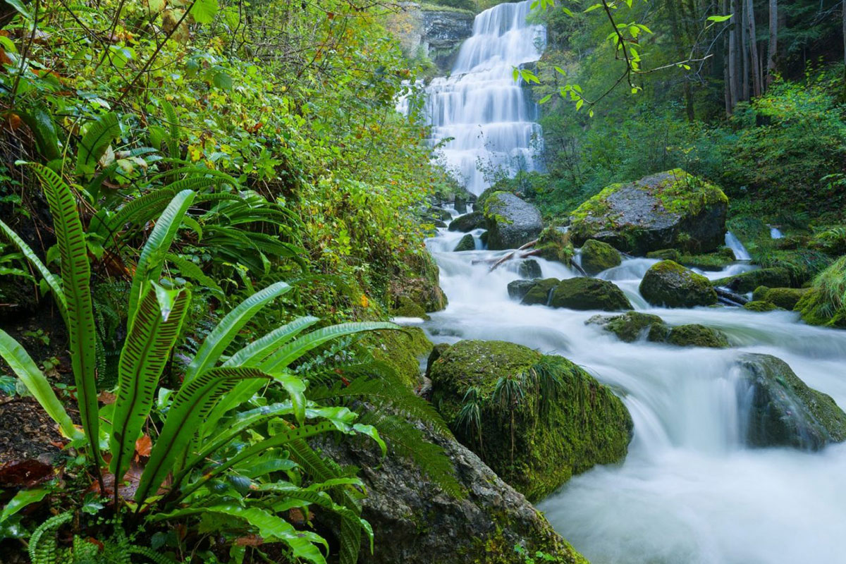 Randonnée dans la vallée du Hérisson © Jura Tourisme