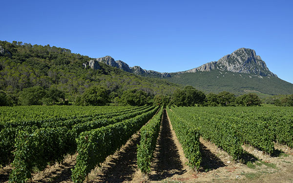 GR® de Pays Tours dans le Grand Pic Saint-Loup. © Jean-Pierre DEGAS / HEMIS