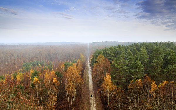 GR® 3B - la Loire sauvage à pied. Forêt d'Orléans. © Alain FELIX / HEMIS