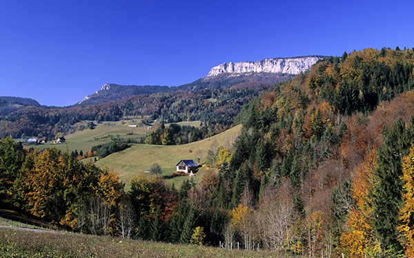 GR® de Pays - Tour de Chartreuse. Forêt domaniale de grande Chartreuse. © Franck GUIZIOU / HEMIS