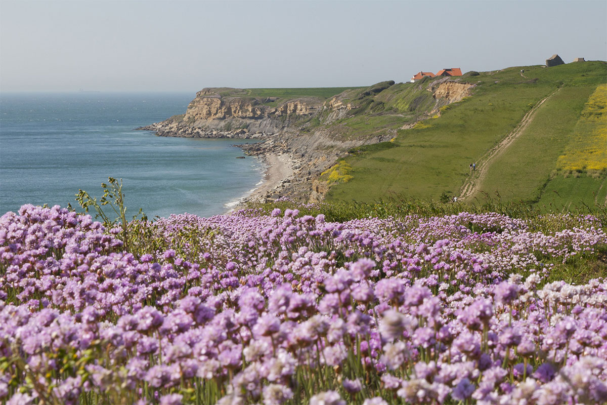 Pas-de-Calais (62), Côte d'Opale, Cap Gris Nez © Olivier Leclercq / Hemis