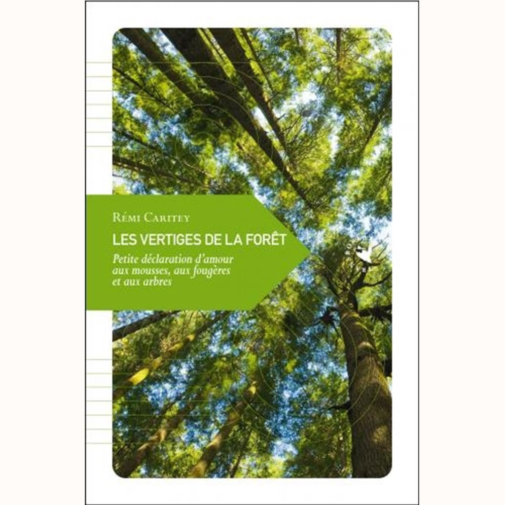 Vertige de la forêt