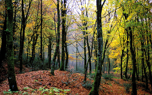 GR® 13 - Tour et traversée du Morvan. Crédit : Bertrand RIEGER / HEMIS