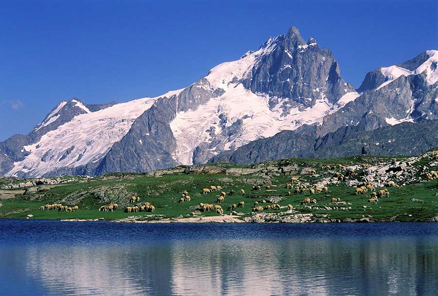 France, Hautes-Alpes (05), le massif de La Meije se mire dans le lac Noir sur le plateau d'Emparis. Crédit : Franck GUIZIOU / hemis.fr