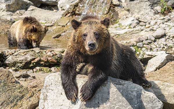 GR® 10 - Grande Traversée des Pyrénées ; Jean de l'Ours. © Bertrand GARDEL / HEMIS