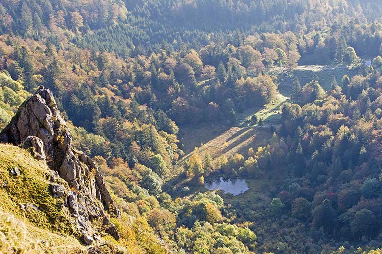 Haut-Rhin, hautes Vosges près du Hohneck, cirque du Franckenthal avec tourbière dans le fond, falaises de la Martinswand. Crédit : Cordier Sylvain / hemis.fr