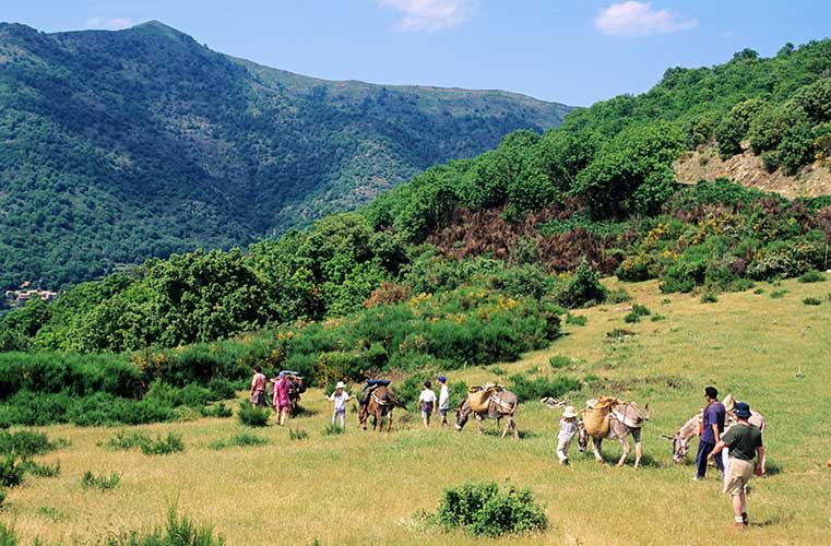 GR de Bès. Parc national des Cévennes. © Gilles RIGOULET / HEMIS