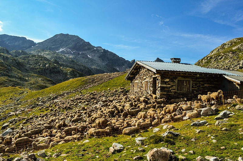 GR® 738 - Haute Traversée de Belledonne. © Sylvain BAZIN