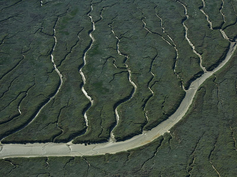GR® 800 - Baie de Somme, Saint-Valéry-sur-Somme, Chenaux dans les Mollières (vue aérienne). Crédit : Francis CORMON / HEMIS
